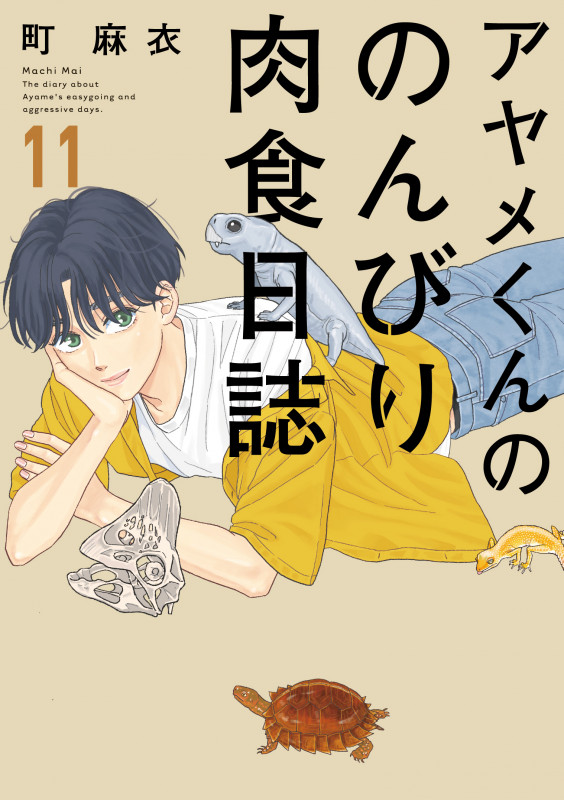 アヤメくんののんびり肉食日誌 (11) (フィールコミックス FCswing)