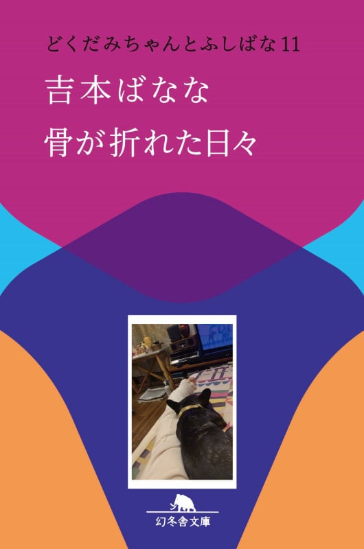 骨が折れた日々 どくだみちゃんとふしばな 11 (幻冬舎文庫)