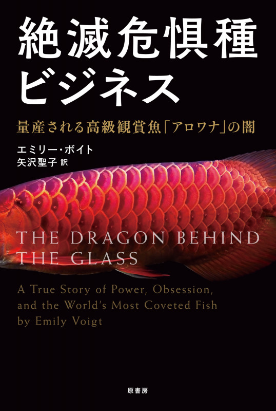 絶滅危惧種ビジネス 量産される高級観賞魚「アロワナ」の闇
