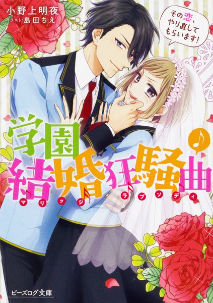 学園結婚狂騒曲 その恋、やり直してもらいます! (ビーズログ文庫)の詳細を見る