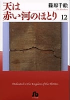 天は赤い河のほとり〔小学館文庫〕 (12) (コミック文庫(女性))