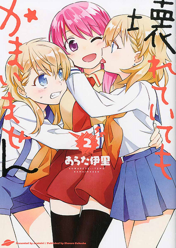 壊れていてもかまいません (2) (ヤングキングC)