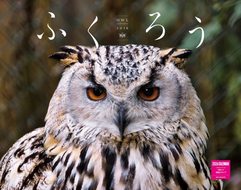 ふくろうカレンダー 2026