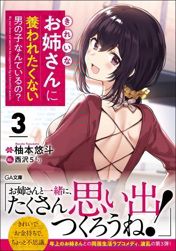 きれいなお姉さんに養われたくない男の子なんているの?3 (3巻) (GA文庫)