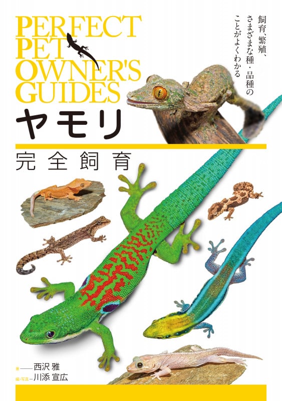 ヤモリ完全飼育 飼育、繁殖、さまざまな種・品種のことがよくわかる (PERFECT PET OWNER'S GUIDES)