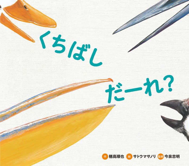 くちばしだーれ? (どうぶつえほんだーれ?どーする?)