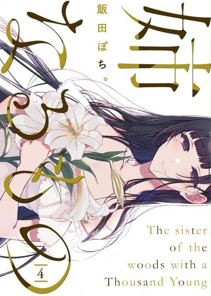 姉なるもの4 (電撃コミックスNEXT)の詳細を見る