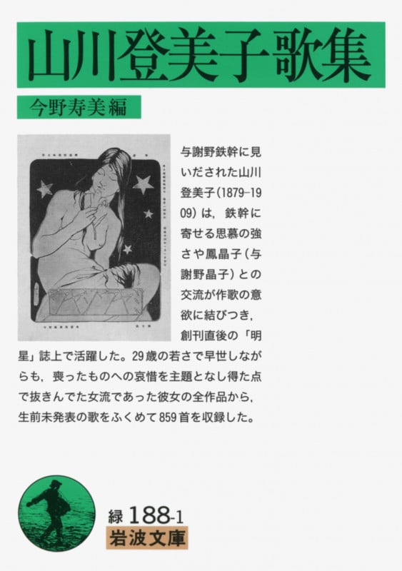 山川登美子歌集 (岩波文庫 緑188-1)