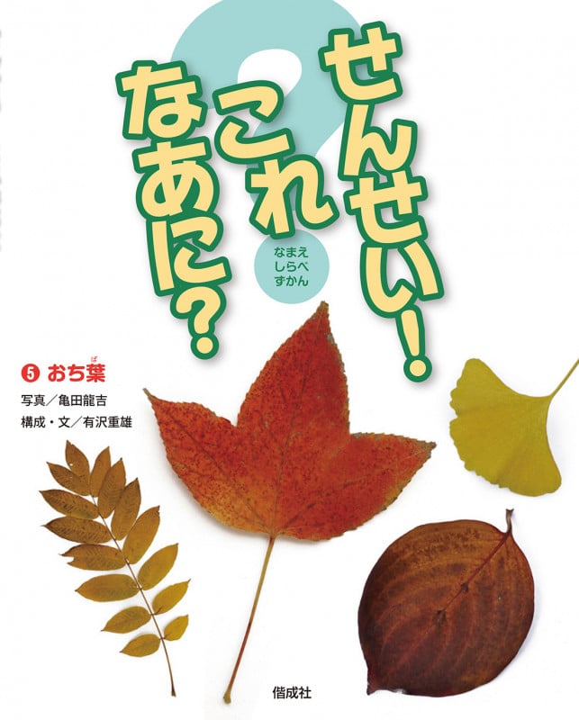 せんせい!これなあに? おち葉 (5) (なまえしらべずかん)