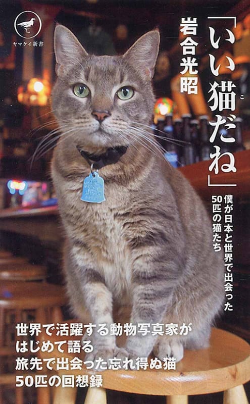 「いい猫だね」僕が日本と世界で出会った50匹の猫たち (ヤマケイ新書)