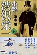 小説 渋沢栄一 (下) (幻冬舎文庫)