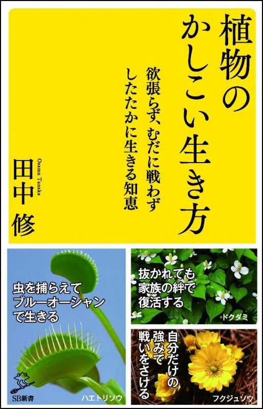 植物のかしこい生き方 欲張らず、むだに戦わずしたたかに生きる知恵 (SB新書)