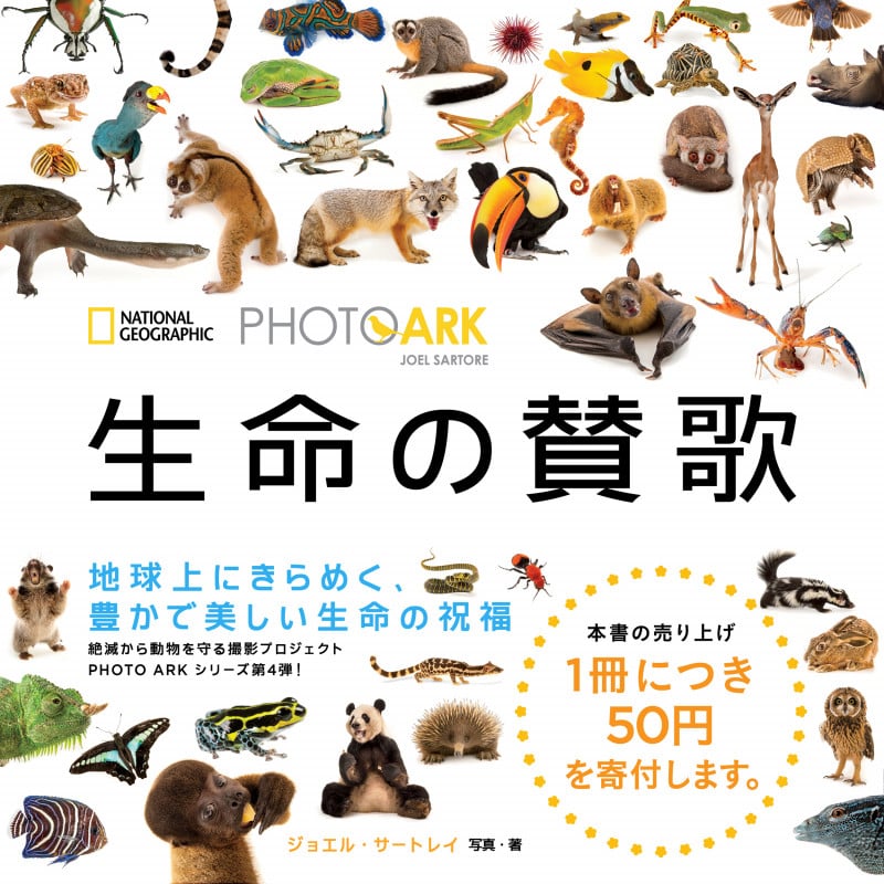 写真集 生命の賛歌 絶滅から動物を守る撮影プロジェクト (NATIONAL GEOGRAPHIC PHOTO ARK)