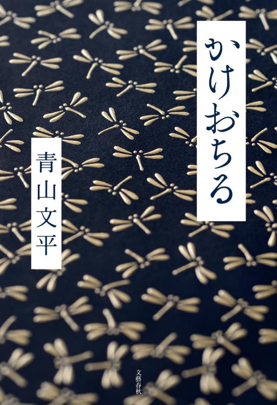 かけおちるの詳細を見る
