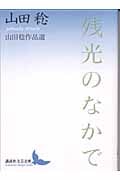 残光のなかで 山田稔作品選 (講談社文芸文庫)