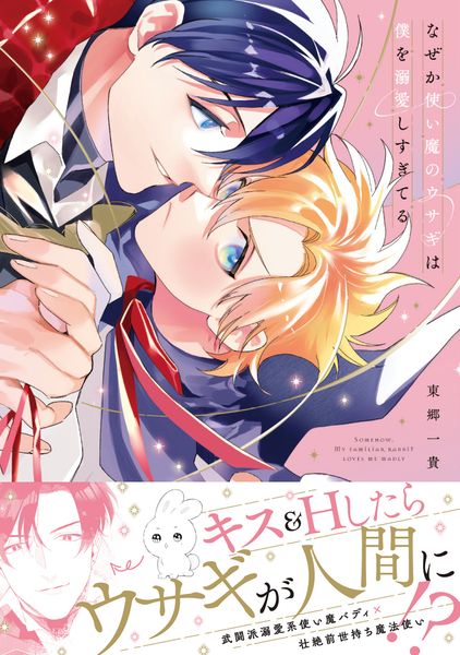 なぜか使い魔のウサギは僕を溺愛しすぎてる (1) (B's-LOVEY COMICS)の詳細を見る