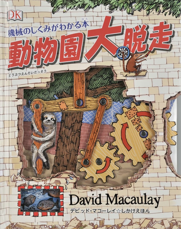 マコーレイの本　５冊セット マコーレイの本 全5冊セット｜マコーレイの本 - 岩波書店