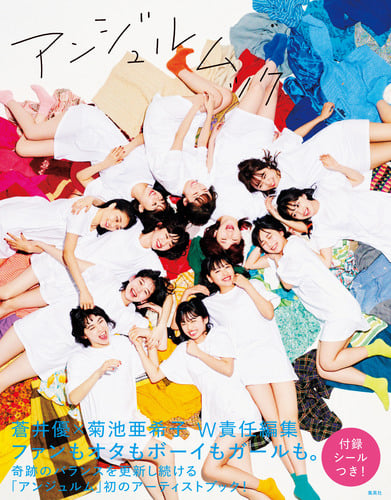 アンジュルムックの詳細を見る