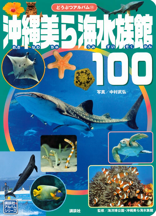 沖縄美ら海水族館100 (どうぶつアルバム 11)の詳細を見る