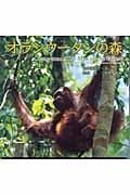 オランウータンの森