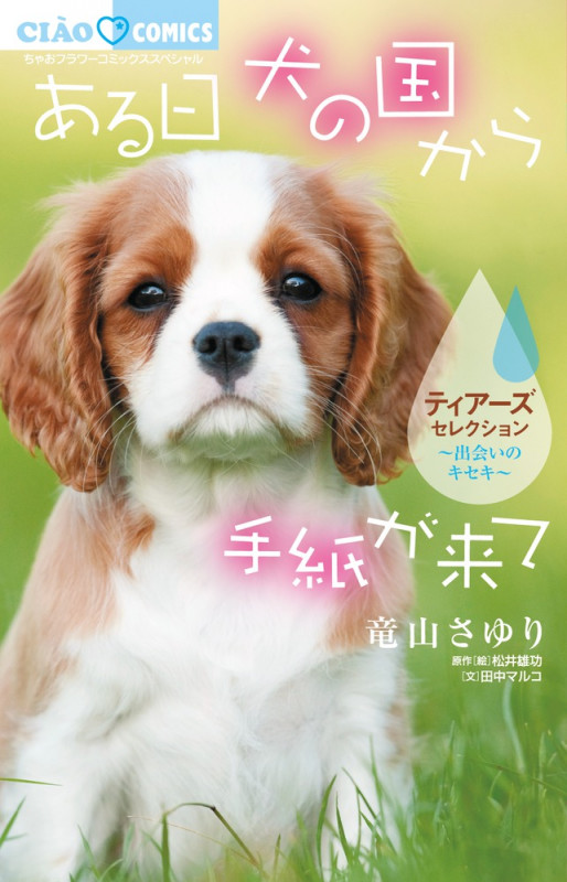 ある日 犬の国から手紙が来て~出会いのキセキ~ ティアーズセレクション (ちゃおコミックス)