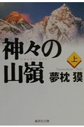 神々の山嶺 (上) (集英社文庫)