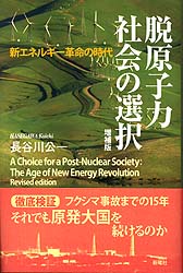 脱原子力社会の選択 新エネルギー革命の時代