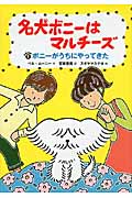 名犬ボニーはマルチーズ(1)ボニーがうちにやってきたの詳細を見る