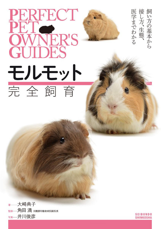 モルモット完全飼育 飼い方の基本から接し方、生態、医学までわかるの詳細を見る