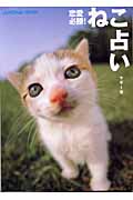 恋愛必勝!ねこ占い