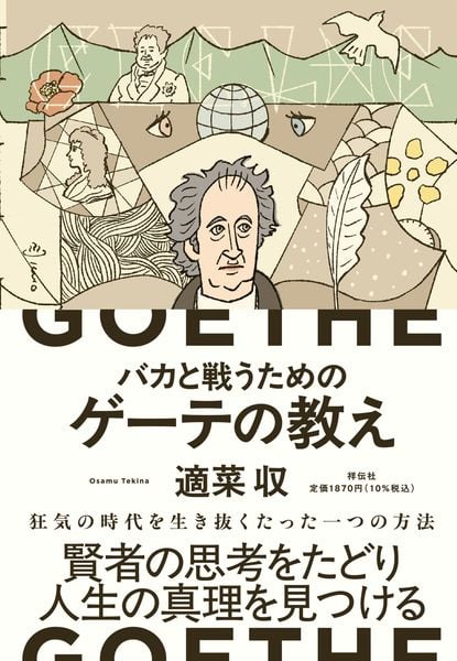 バカと戦うためのゲーテの教え (単行本)