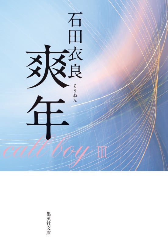 爽年 (集英社文庫)