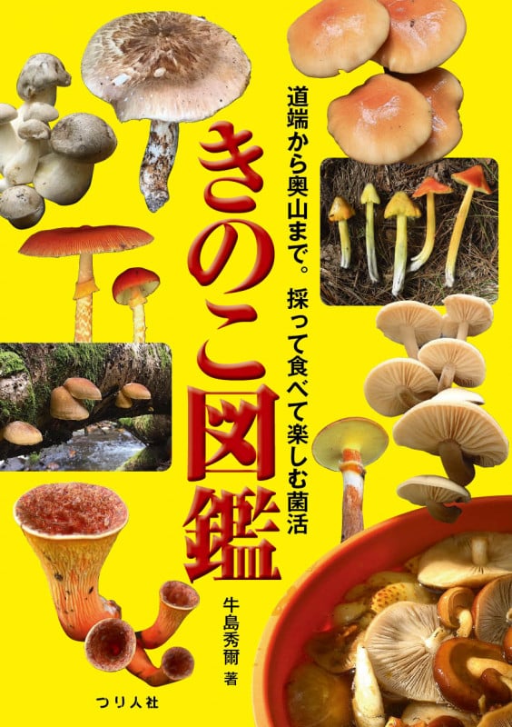 きのこ図鑑 道端から奥山まで。採って食べて楽しむ菌活
