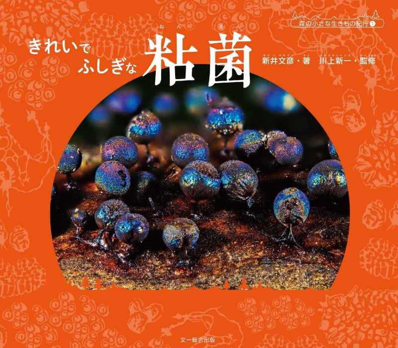 きれいで ふしぎな 粘菌 (森の小さな生きもの紀行 1)