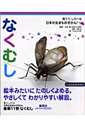 なくむし 育てて、しらべる 日本の生きものずかん 11 (育てて、しらべる 日本の生きものずかん)