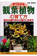 見てわかる観葉植物の育て方 苗木の選び方から殖やし方まで (見てわかる園芸シリーズ)