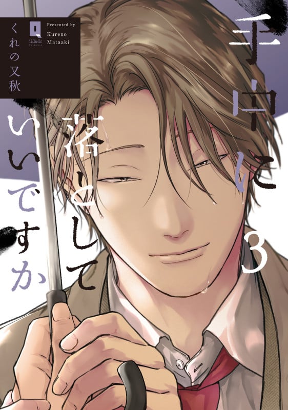 手中に落としていいですか 3 (リキューレコミックス)