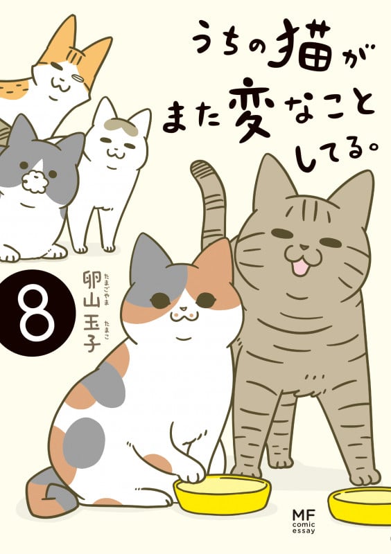 うちの猫がまた変なことしてる。8 (8)