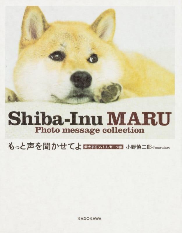 もっと声を聞かせてよ 柴犬まるフォトメッセージ集