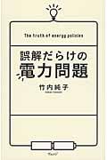 誤解だらけの電力問題