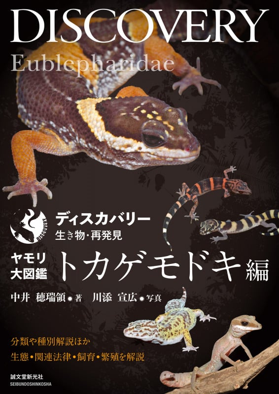 ヤモリ大図鑑 トカゲモドキ編 分類や種別解説ほか生態・関連法律・飼育・繁殖を解説 (ディスカバリー生き物・再発見)