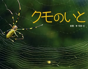 クモのいと (ふしぎいっぱい写真絵本)