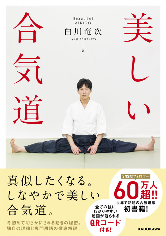美しい合気道の詳細を見る