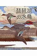 琵琶湖の水鳥