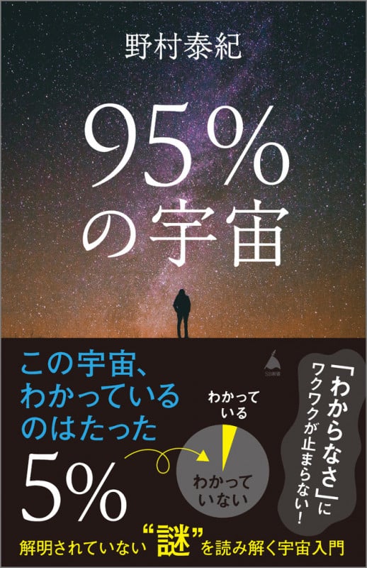 95%の宇宙 解明されていない“謎”を読み解く宇宙入門 (SB新書)