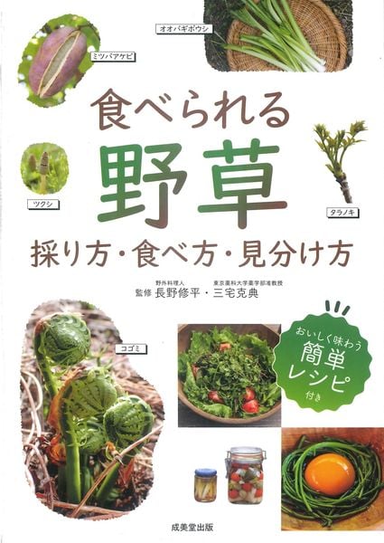 食べられる野草 採り方・食べ方・見分け方