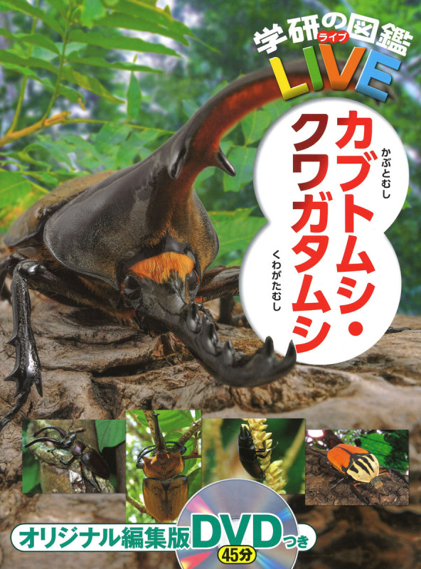 カブトムシ・クワガタムシ (学研の図鑑LIVE)