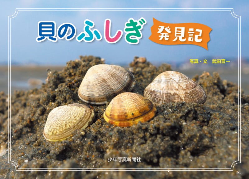 貝のふしぎ発見記 (少年写真絵本)