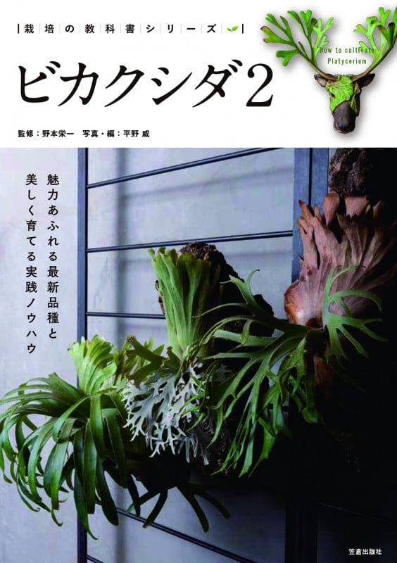 ビカクシダ 魅力あふれる最新品種と美しく育てる実践ノウハウ (2) (栽培の教科書シリーズ)