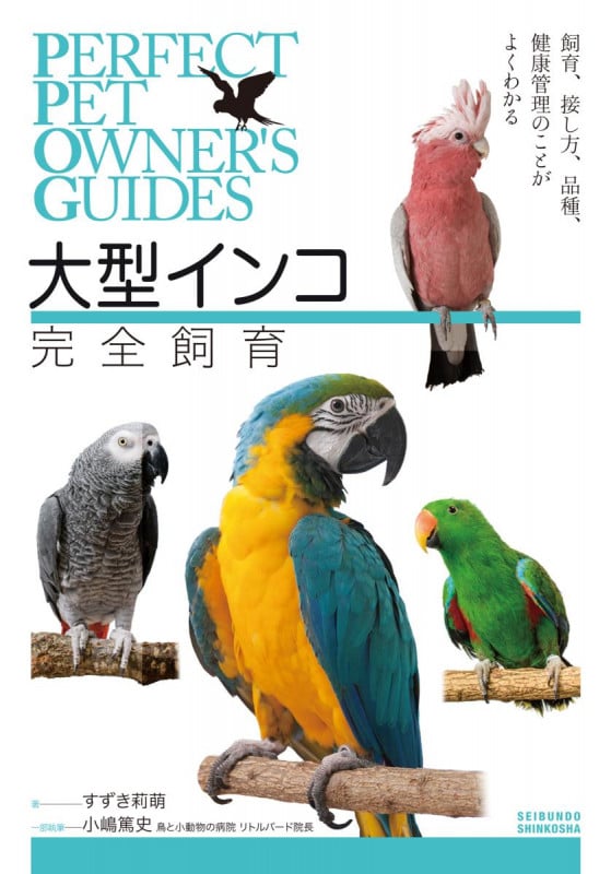 大型インコ完全飼育 飼育、接し方、品種、健康管理のことがよくわかる (PERFECT PET OWNER'S GUIDES)